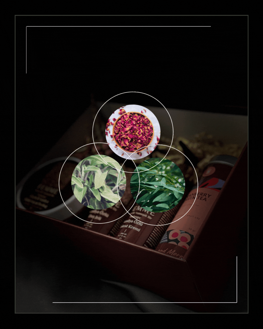 Ritual: 01 Yumuşak Bir Başlangıç