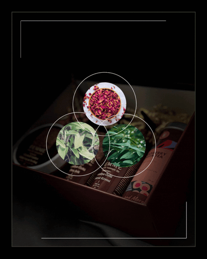 Ritual: 01 Yumuşak Bir Başlangıç