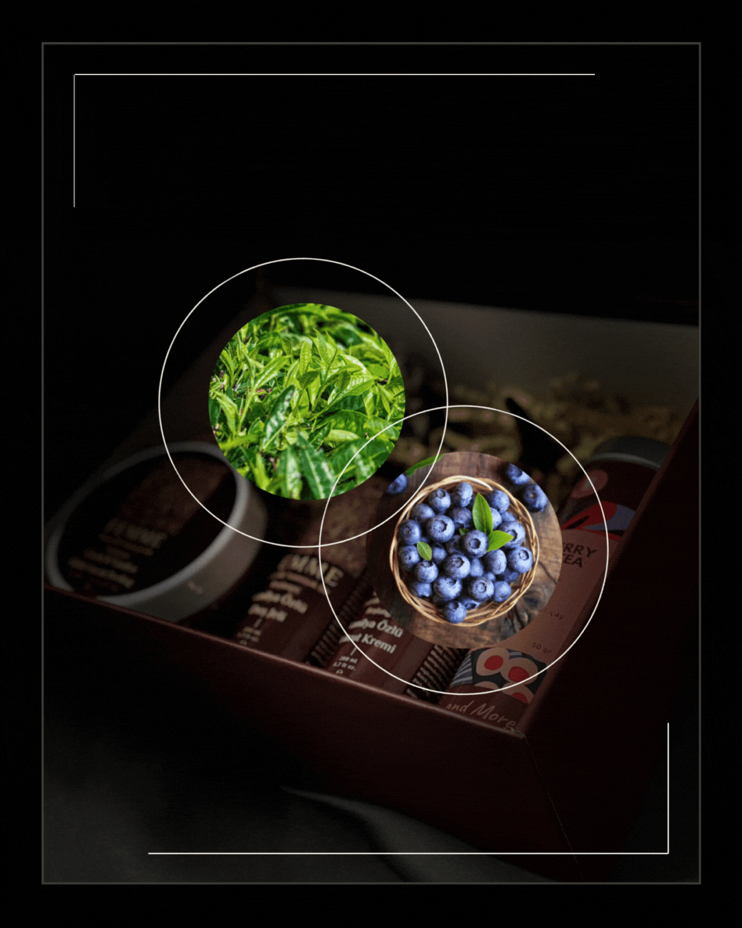 Ritual: 01 Yumuşak Bir Başlangıç