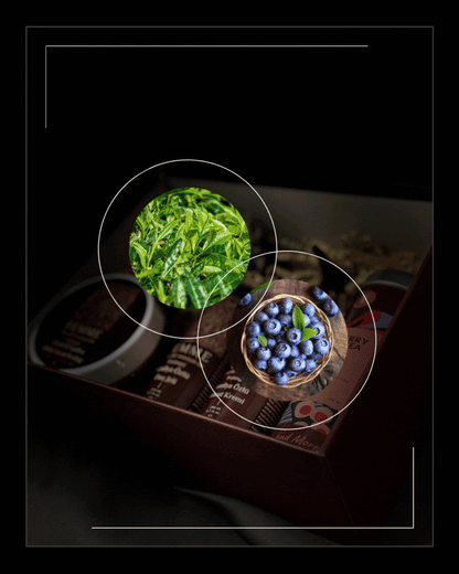 Ritual: 01 Yumuşak Bir Başlangıç